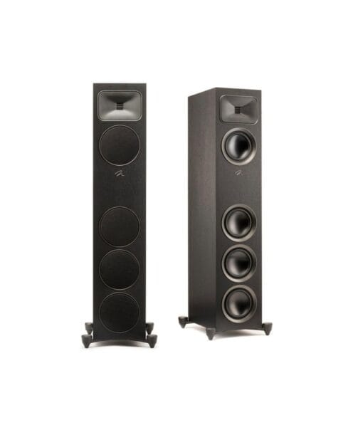 MartinLogan Motion Foundation F1