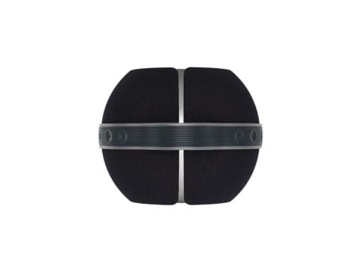 Devialet Mania